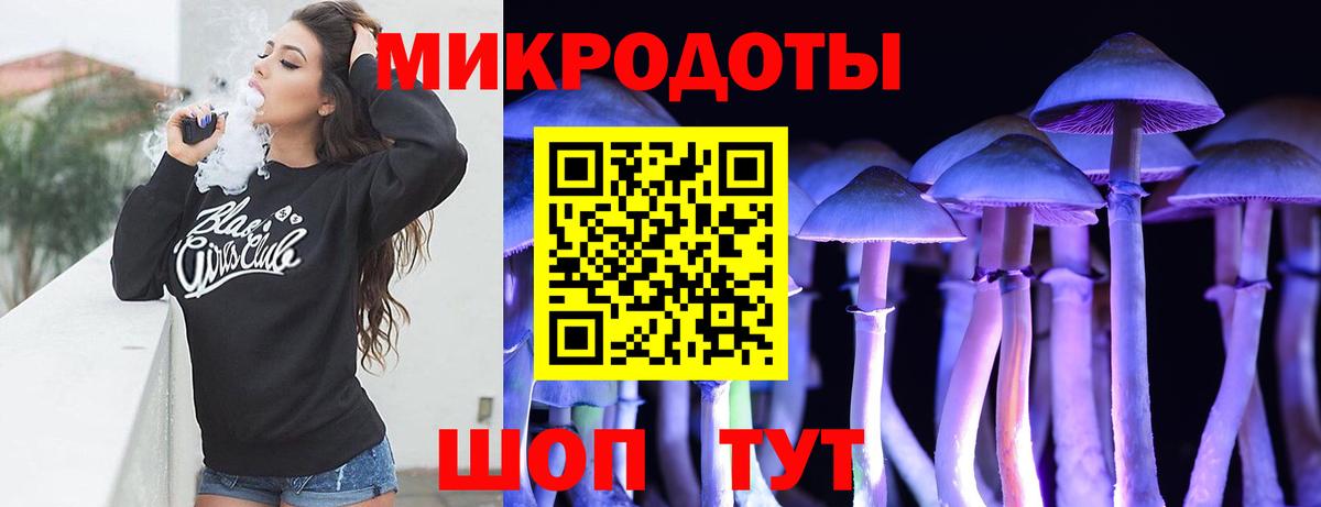 Псилоцибиновые грибы Psilocybine cubensis  Вход с VPN  Чапаевск 